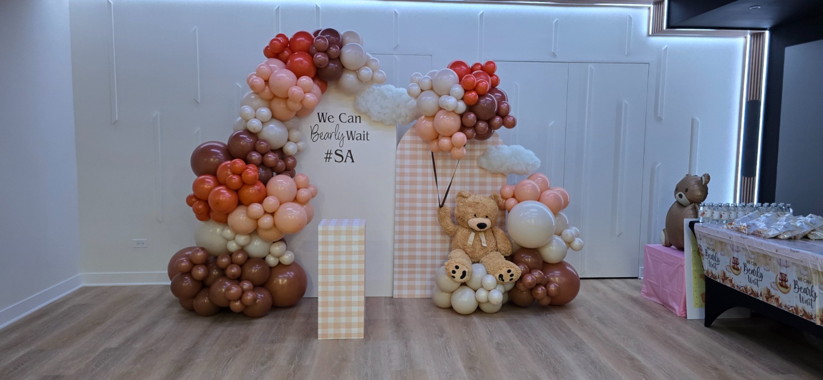 2 Backdrops setup 16