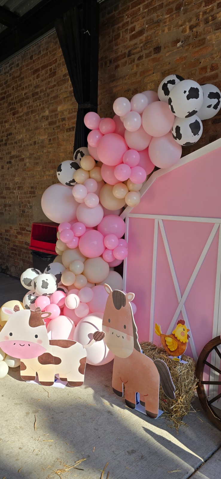 Custom 3 plus setup 5