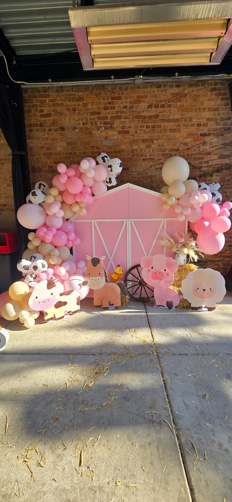 Custom 3 plus setup 7