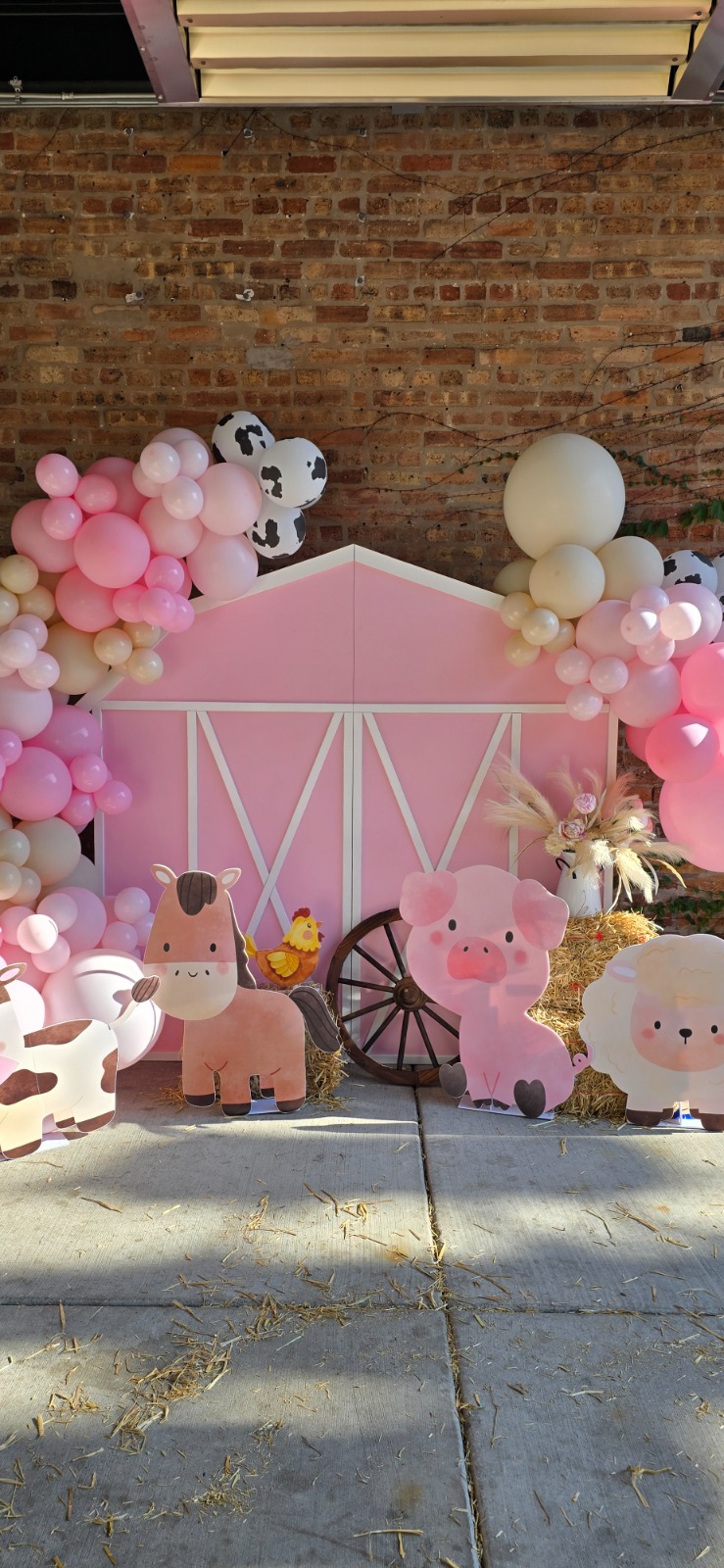 Custom 3 plus setup 6