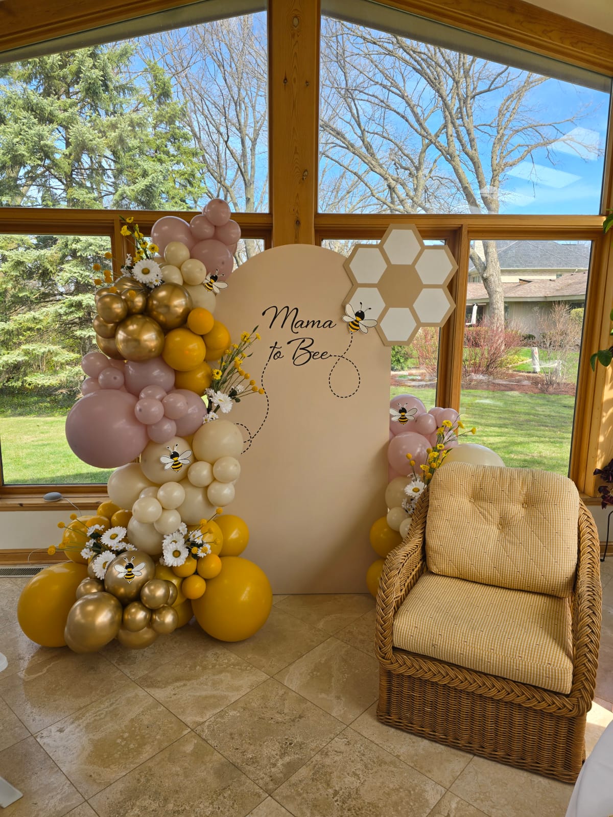 1 Backdrop setup 15