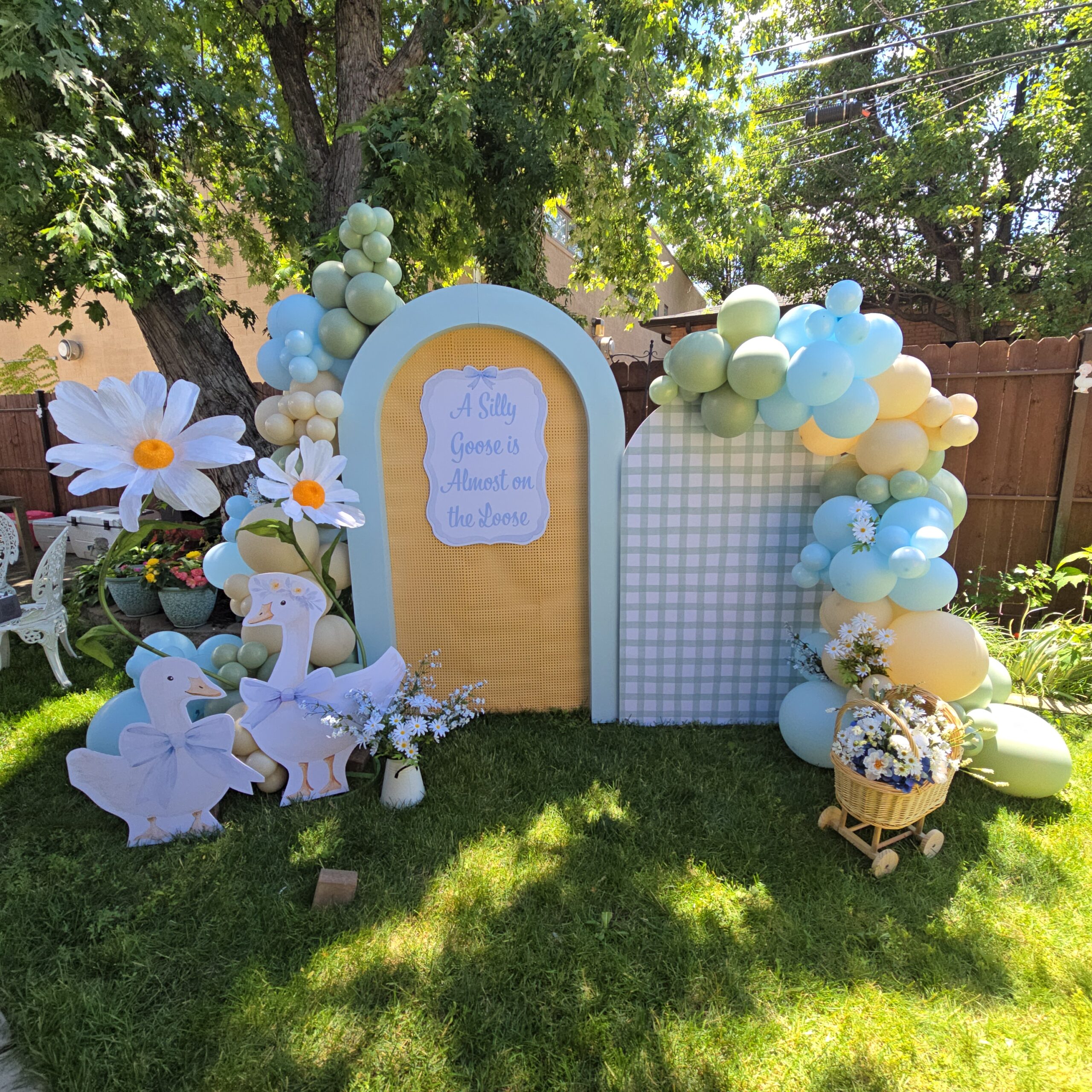 2 Backdrops setup