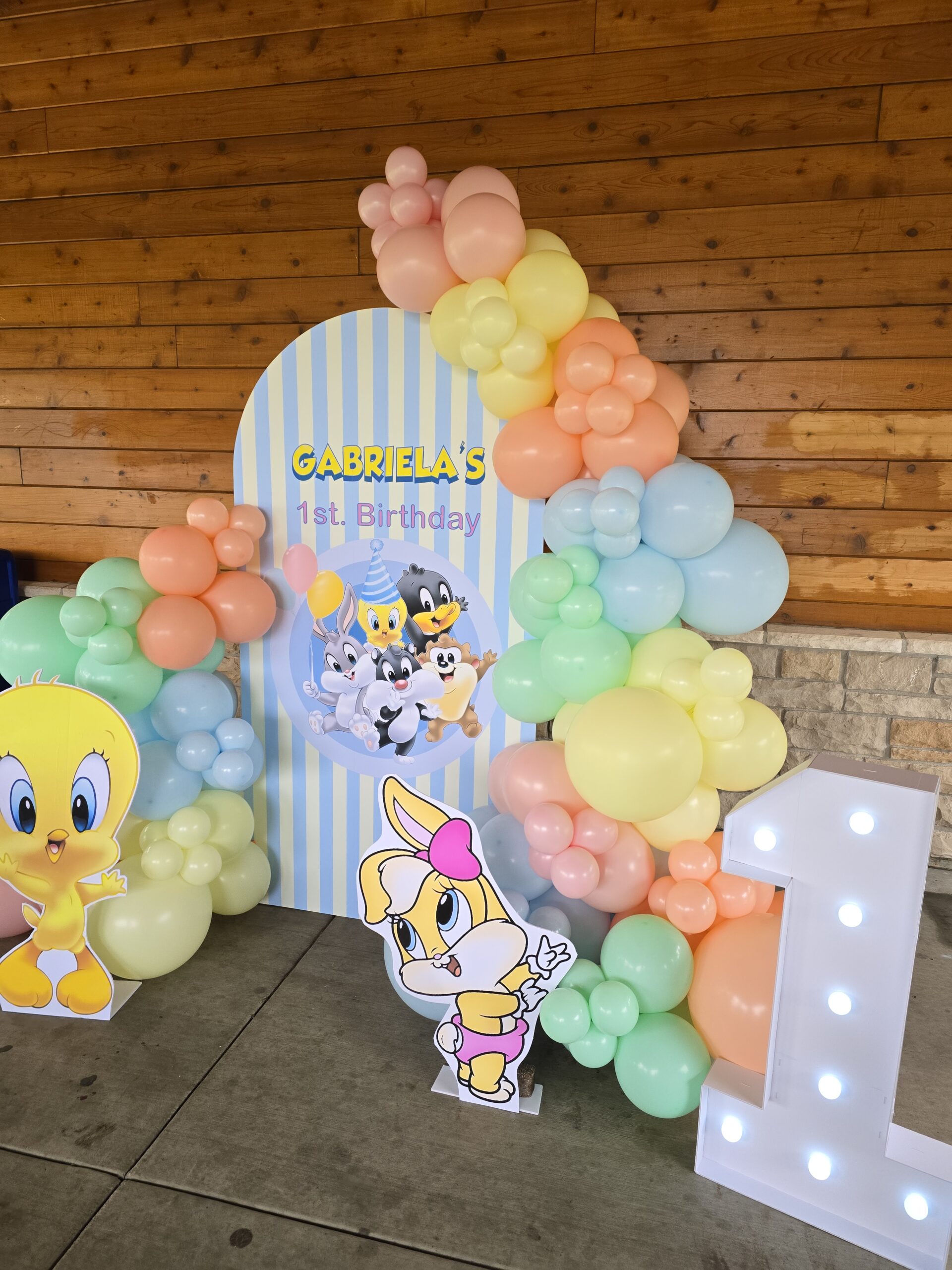 1 Backdrop setup